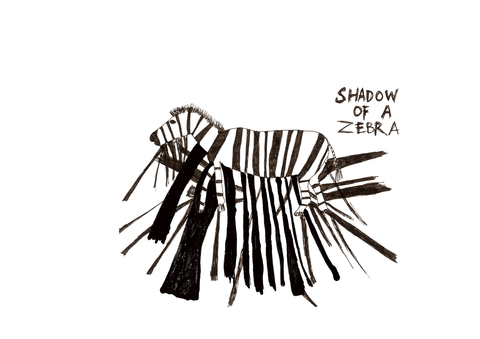 04. Shadow of a Zebra