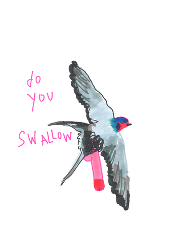 20-Swallow